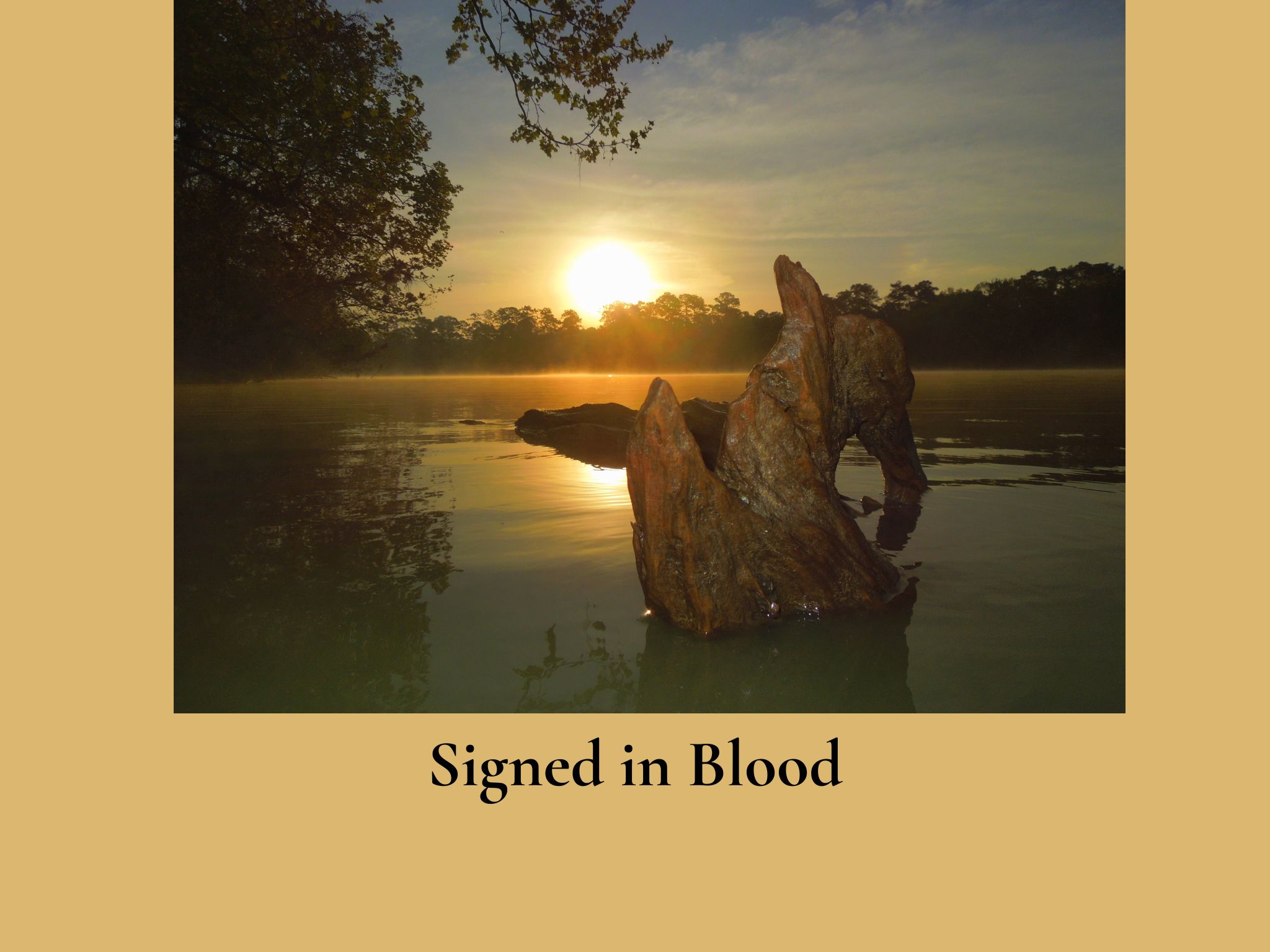 Signed in Blood San Jacinto River sunrise photograph