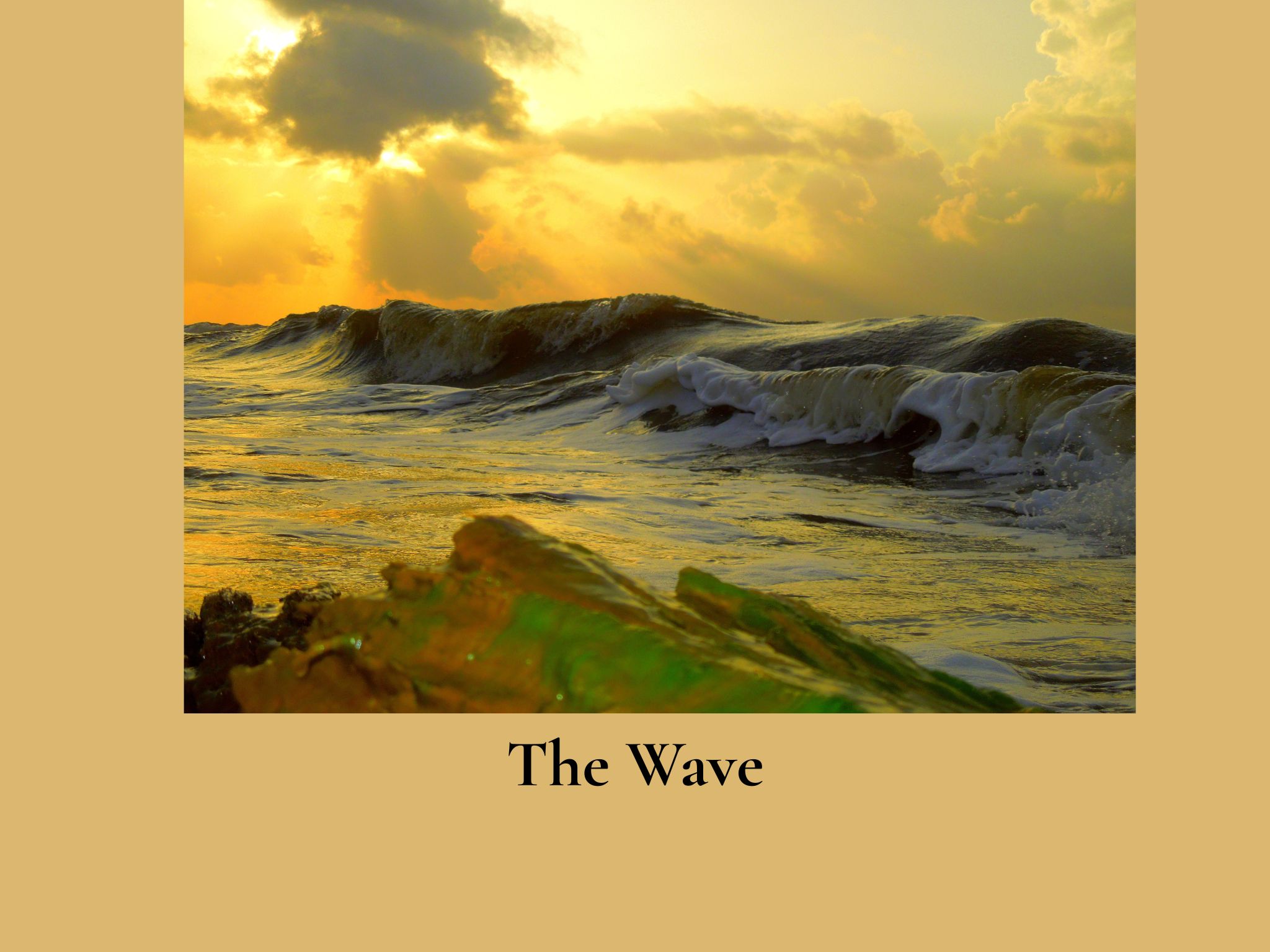 The Wave photograph of driftwood and a large wave at Freeport Texas